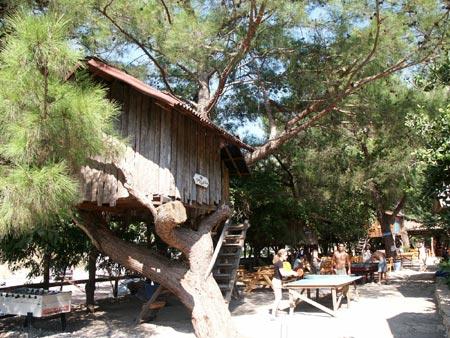 TURKMEN TREE HOUSES