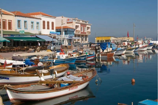 Seferihisar Mandalina Festivali 