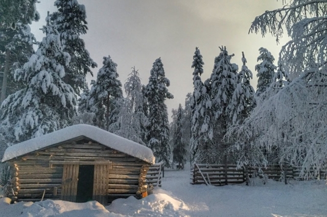 Yılbaşı Lapland Turu