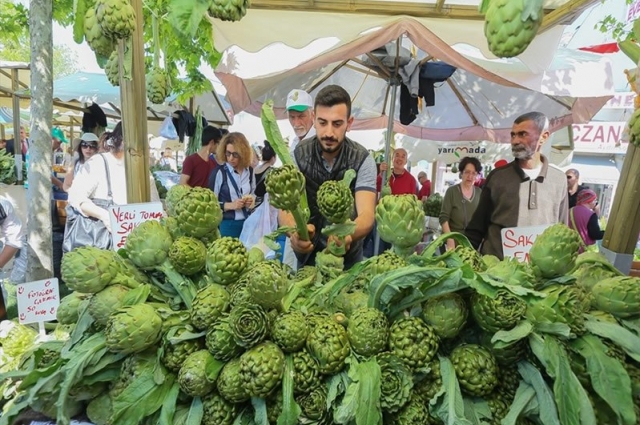 Urla Enginar Festivali Turu