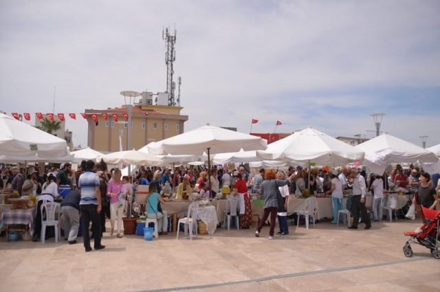 Urla Enginar Festivali Turu