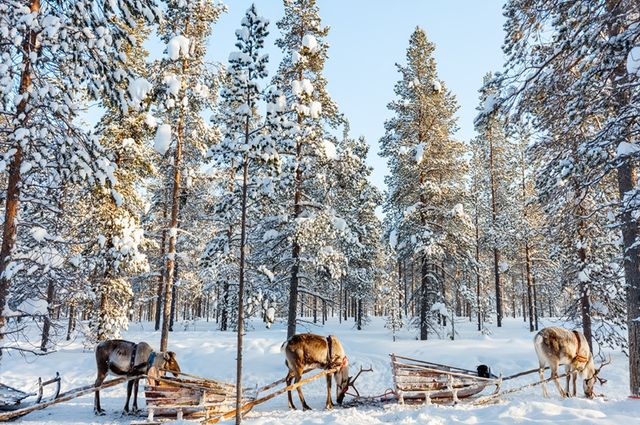 Süper Promosyon Lapland Turu