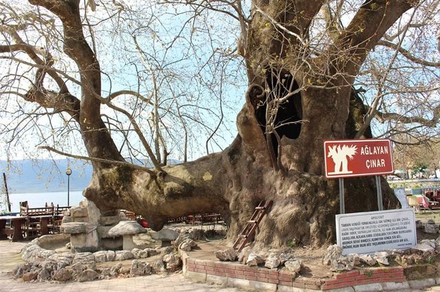 Bursa Gölyazı - Trilye - Mudanya - Cumalıkızık Turu