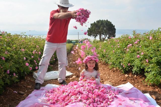 Isparta Gül Bahçeleri & Salda Gölü Turu