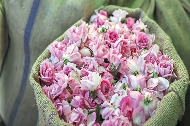 Isparta Gül Bahçeleri & Salda Gölü Turu