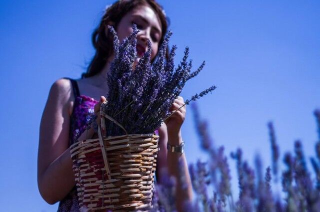 Lavanta Bahçeleri & Salda Gölü Turu