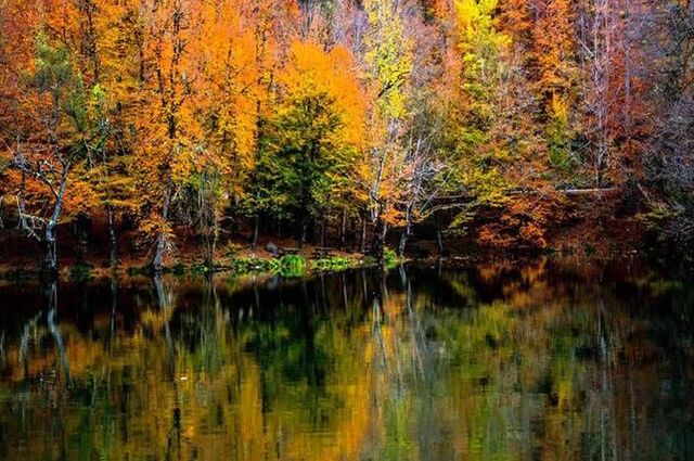 Yedigöller & Abant Gölü Turu