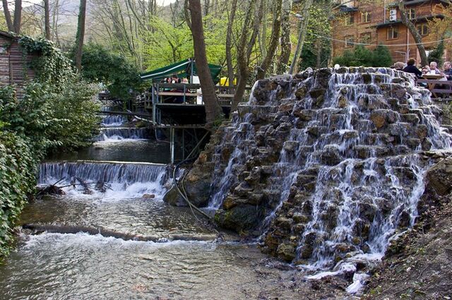 Ormanya - Ayrı Gezegen Cam Teras - Maşukiye Turu