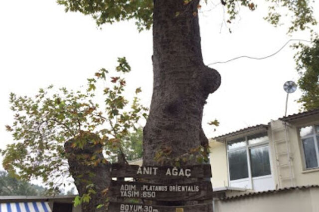 Her Cuma Kazdağı Şelale Turu