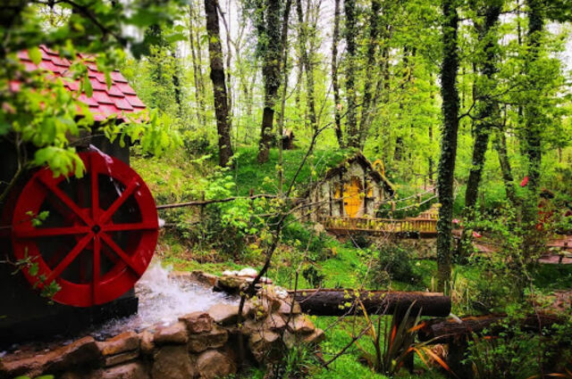 Her Çarşamba Ormanya, Ayrı Gezegen Cam Teras, Maşukiye Turu