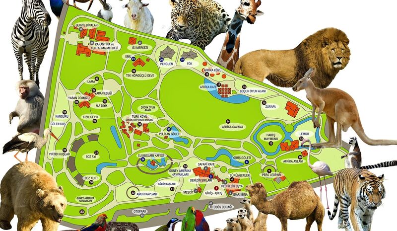 Bursa Extrempark - Misi Köyü - Hayvanat Bahçesi Turu