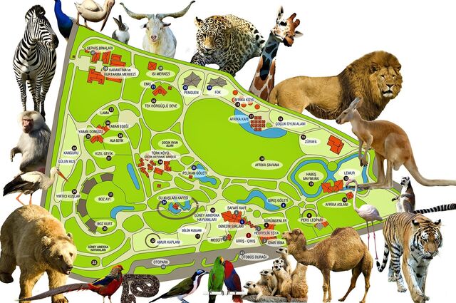 Bursa Extrempark - Misi Köyü - Hayvanat Bahçesi Turu