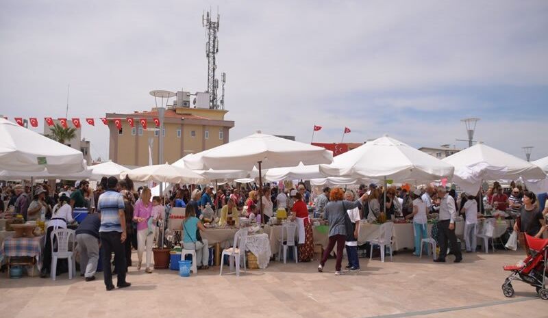 Urla Enginar Festivali Turu ( hafta içi)