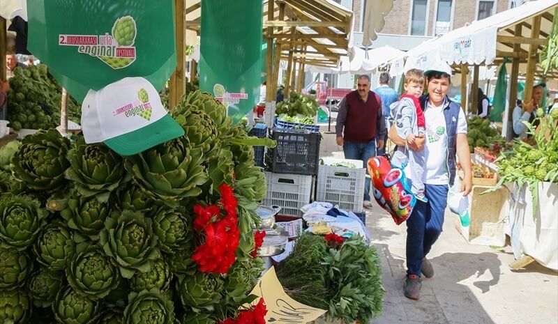 Urla Enginar Festivali Turu ( hafta içi)