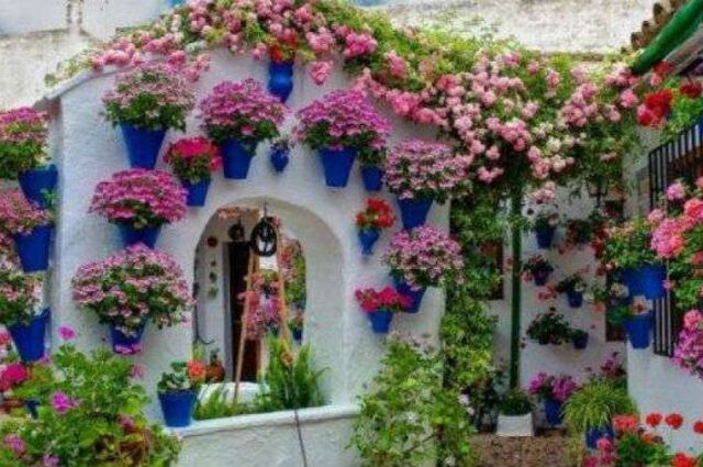 Bayındır Çiçek Festivali Turu