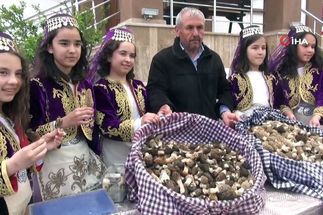 Fethiye Yeşilüzümlü Dastar ve Kuzugöbeği Mantar Festivali Turu