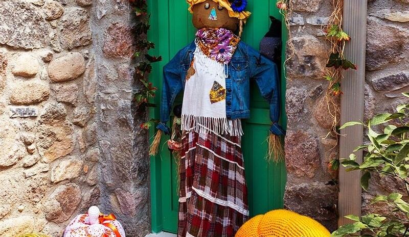 Karaburun Nergis Festivali Turu