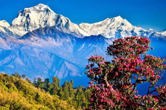 Süper Promo Nepal Turu Himalayalar’da Yoga Rotası